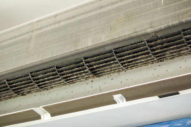 Best Duct Repair and Sealing Services in Cortland West, NY